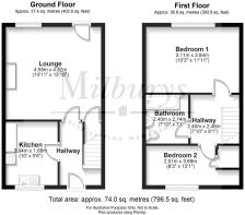 30 Larkspur - all fl