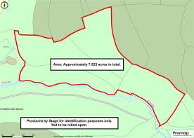 Promap-3516461-3615702-750-0.jpg