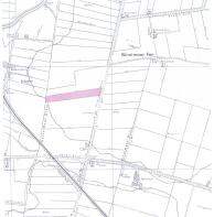 For Identificatio...