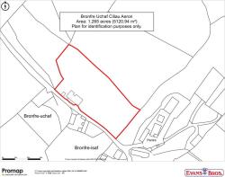 Bronfre Uchaf sales plan.jpg