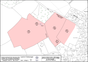 Floor/Site plan 1