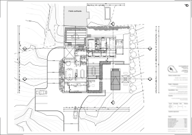 Floor/Site plan 1