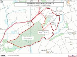 LLANIO ISAF LOTTING PLAN SSSI MARKED.jpg