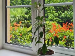 0b900452img20260217wa0001