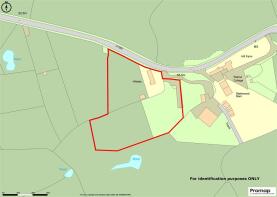 Promap-2871123-2973151-750-0.jpg