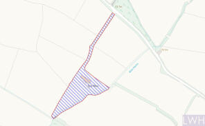 Grounds