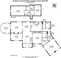 IMG_4390.jpeg