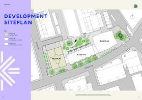 Site Layout