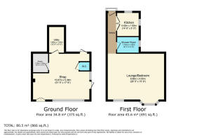 Floor/Site plan 1