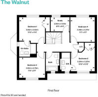 6247249 oakwood park walnut canford floorplan amend web