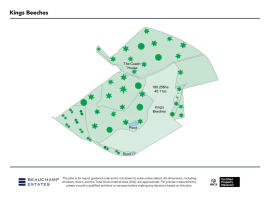 Floor/Site plan 1