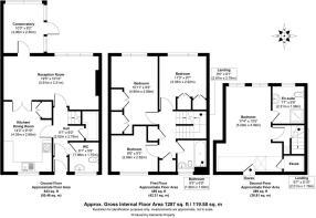 52 Silver Birches.jpg