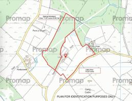 Llethr, Cellan plan.jpeg (1).jpg