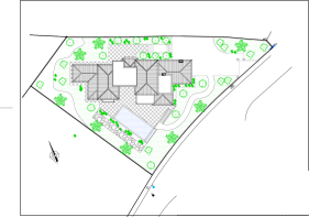 Floor/Site plan 1