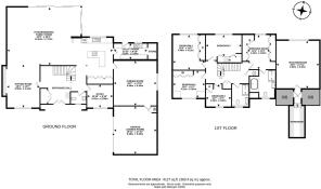 1hemlockclose-High (2).jpg