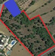 Floor/Site plan 1
