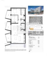 Planta suncliffs