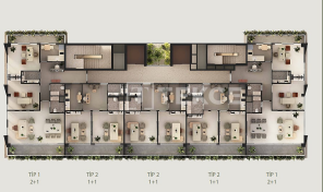 Floor/Site plan 2