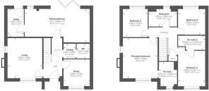 rushfield combined.jpeg