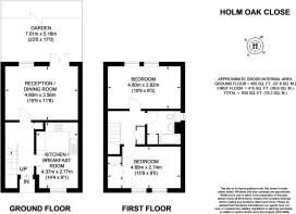 21-holm-oak-close...