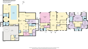 pine trees, wentwort