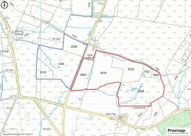 Promap-3480458-3579182-2082-0.jpg