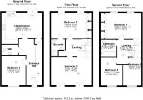 Mosquito Way - Floor