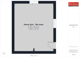 Home Gym/Bar