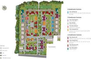 Development Layouts
