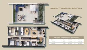 Penthouse plan