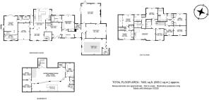 crazes kt20 6ny-high.jpg