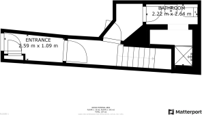 Floor/Site plan 1
