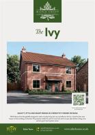 The Ivy_P1.jpg