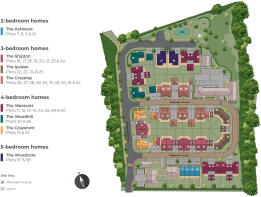 Development Layouts