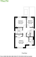 5487572 the fir ff web 800x1200