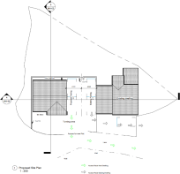 Floor/Site plan 1