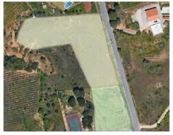 Google Earth view of the plot
