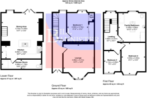 13 Albany Road.png