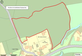 Floor/Site plan 1