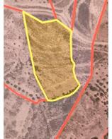 Floor/Site plan 2