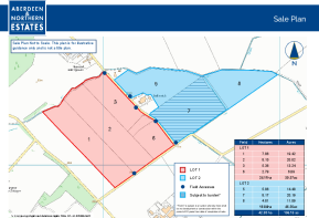 Sale Plan