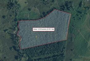 esgisl las 5 acre woodland.jpg