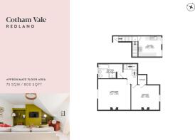 TFF 25 Cotham Vale floorplan.jpg