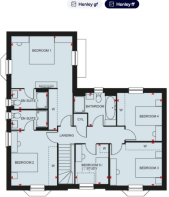 first floor .png