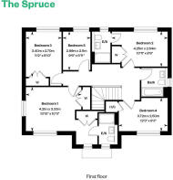 the spruce ff