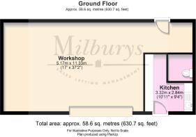 Paul Taylor, Work Sh