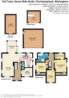 FP - Tall Trees, Gorse Ride North.jpg