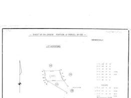 Survey Plan
