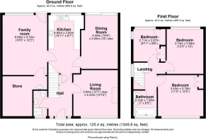 Thornwood Covert, York