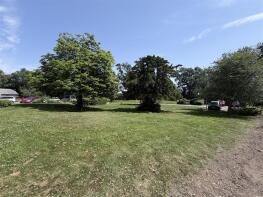 IMG_5534.jpeg